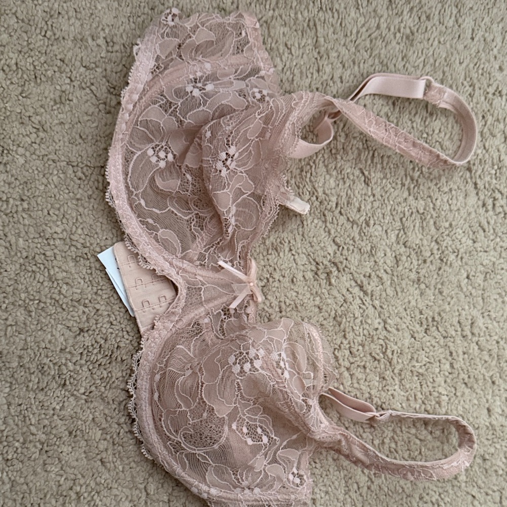 Delicate Lace Underwire Bra in Blush
